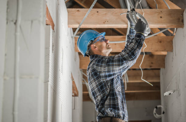 Best Electric Panel Repair  in Homer Glen, IL